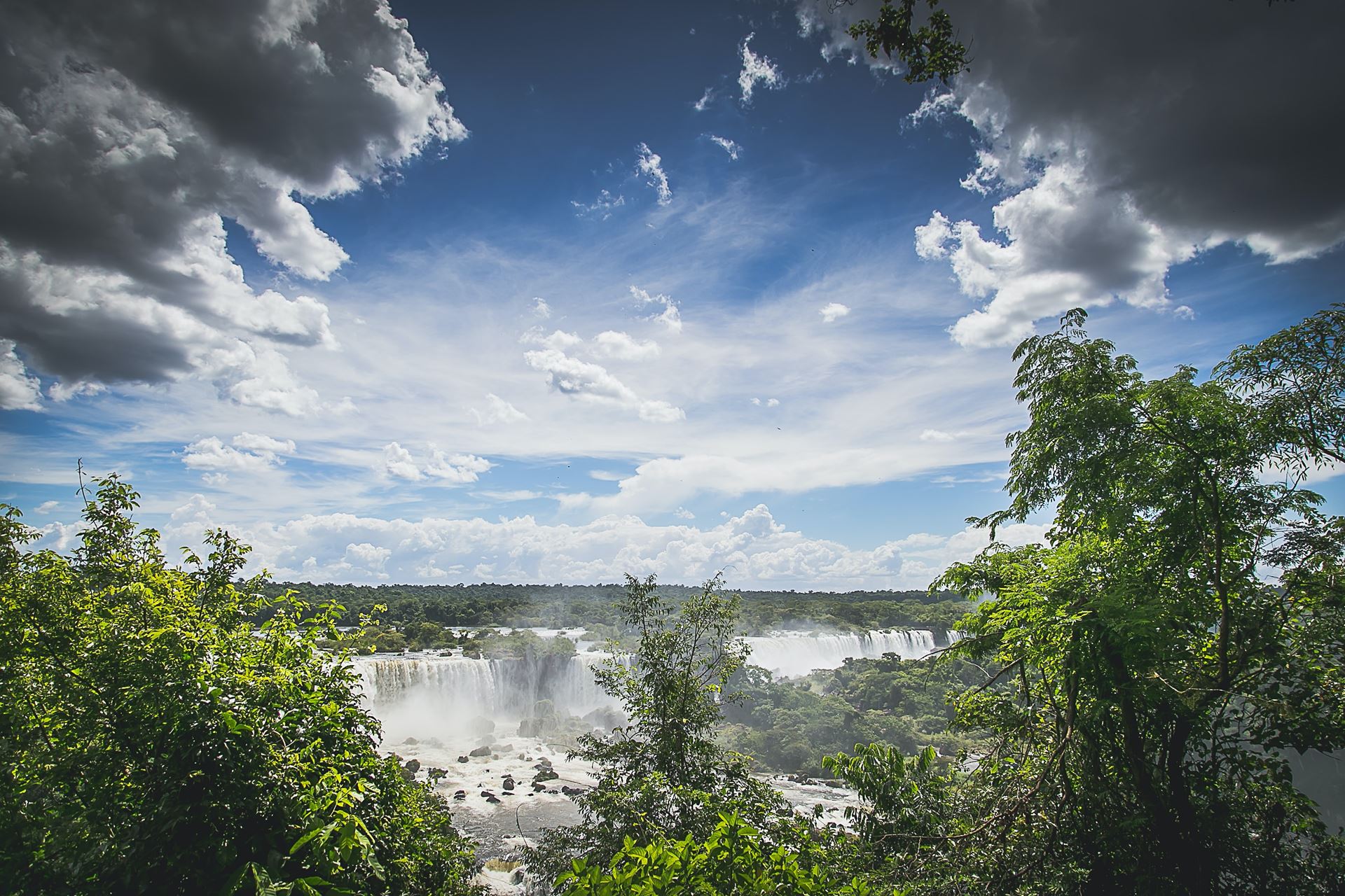 environment